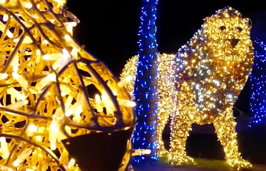 Lo Zoo Luminoso apre le sue porte sabato 17 maggio: alle 11 inaugurazione della grande novità del Parco Mariambini di Empoli