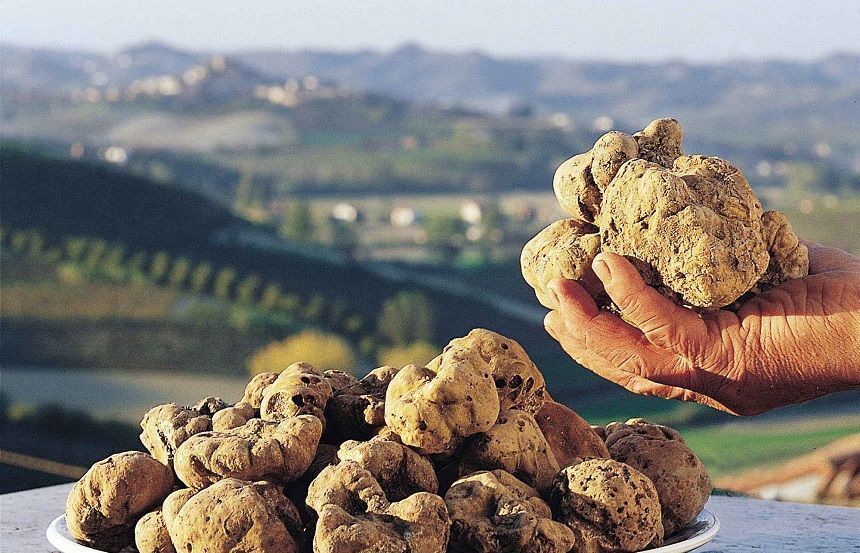 La Mostra del Tartufo Bianco delle Colline Sanminiatesi premiata ai Future Days di Scandicci