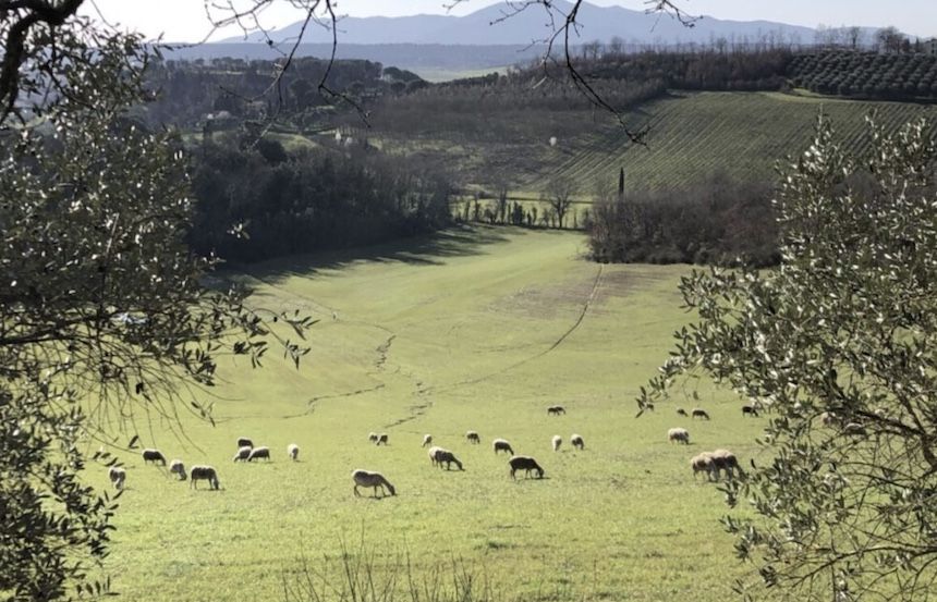 Camminate lungo gli Anelli Medicei di Cerreto Guidi