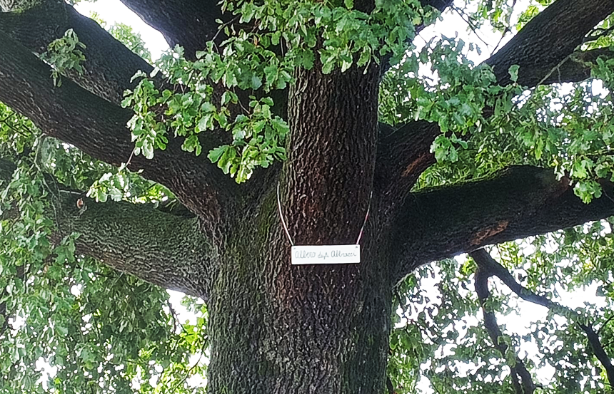 Sulla pista ciclabile Empoli-Marcignana c'è l'albero degli abbracci